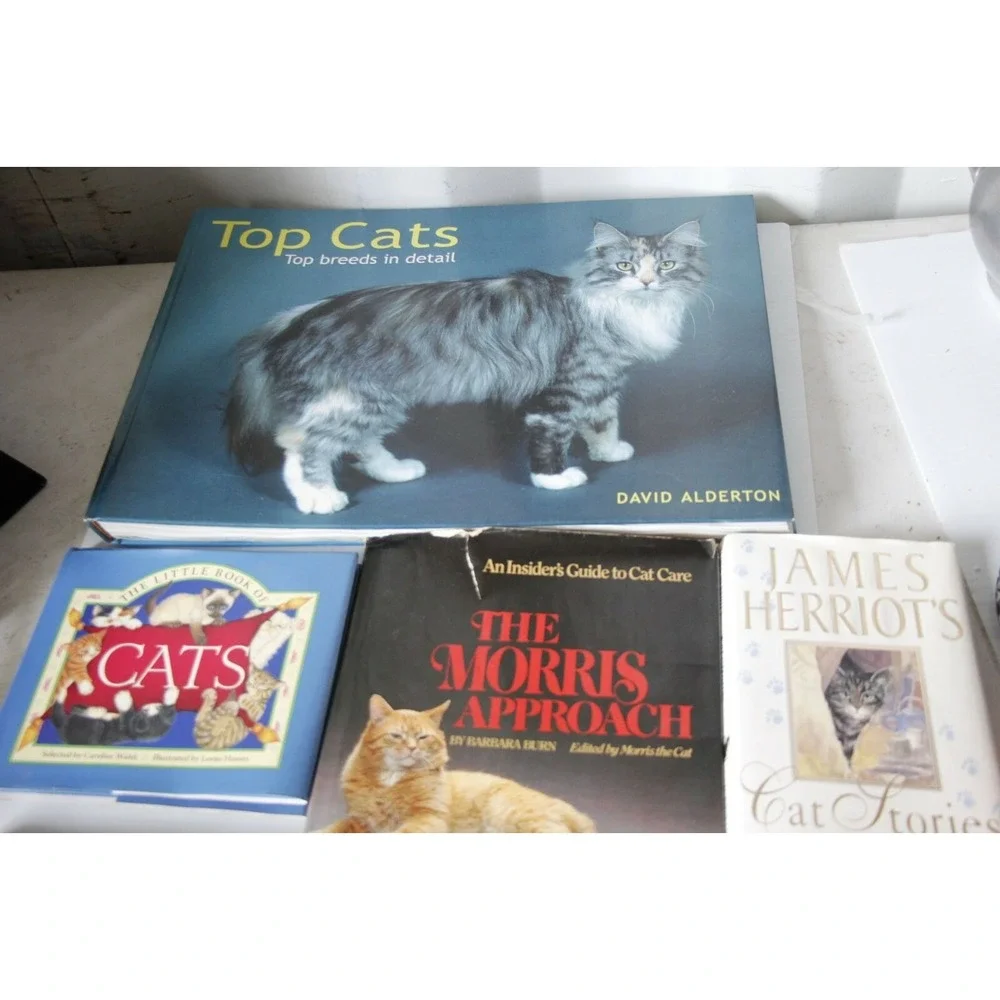 Cat Book Bundle of 6 for the Crazy Cat Lady James Herriot Cat Stories